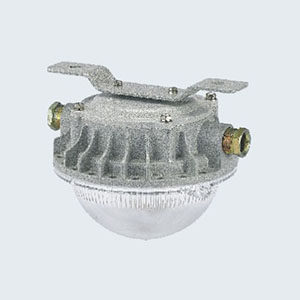 BZD180-112系列防爆免維護(hù)LED照明燈(IIC)