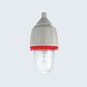 CCd92系列防爆照明燈(IIC)